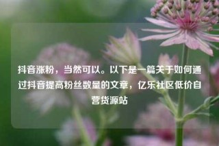 抖音涨粉,当然可以。以下是一篇关于如何通过抖音提高粉丝数量的文章,亿乐社区低价自营货源站