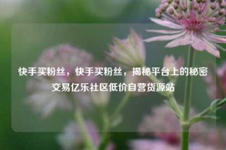 快手买粉丝,快手买粉丝,揭秘平台上的秘密交易亿乐社区低价自营货源站