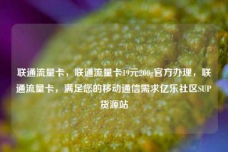 联通流量卡,联通流量卡19元200g官方办理,联通流量卡,满足您的移动通信需求亿乐社区SUP货源站