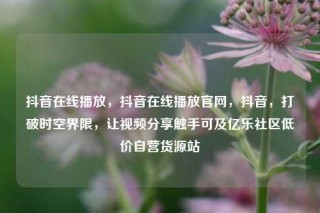 抖音在线播放,抖音在线播放官网,抖音,打破时空界限,让视频分享触手可及亿乐社区低价自营货源站