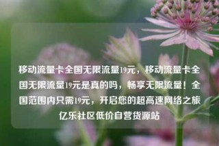 移动流量卡全国无限流量19元,移动流量卡全国无限流量19元是真的吗,畅享无限流量!全国范围内只需19元,开启您的超高速网络之旅亿乐社区低价自营货源站