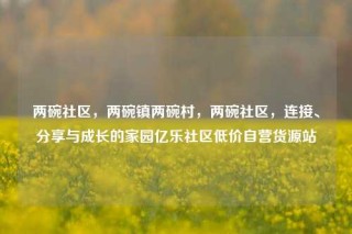 两碗社区,两碗镇两碗村,两碗社区,连接、分享与成长的家园亿乐社区低价自营货源站