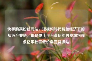 快手购买粉丝网站,短视频时代粉丝经济下的灰色产业链,揭秘快手平台背后的付费增粉现象亿乐社区低价自营货源站