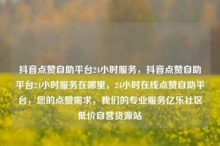 抖音点赞自助平台24小时服务,抖音点赞自助平台24小时服务在哪里,24小时在线点赞自助平台,您的点赞需求,我们的专业服务亿乐社区低价自营货源站