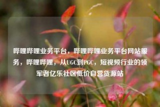 哔哩哔哩业务平台,哔哩哔哩业务平台网站服务,哔哩哔哩,从UGC到PGC,短视频行业的领军者亿乐社区低价自营货源站