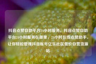 抖音点赞自助平台24小时服务,抖音点赞自助平台24小时服务在哪里,24小时在线点赞助手,让你轻松管理抖音账号亿乐社区低价自营货源站
