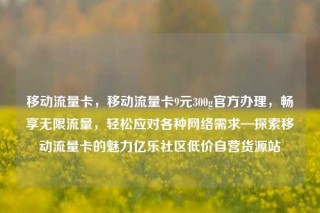 移动流量卡,移动流量卡9元300g官方办理,畅享无限流量,轻松应对各种网络需求—探索移动流量卡的魅力亿乐社区低价自营货源站