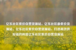 亿乐社区低价自营货源站,亿乐社区最低价货源站,亿乐社区低价自营货源站,打造高效供应链的利器亿乐社区低价自营货源站