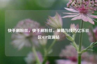 快手刷粉丝,快手刷粉丝,策略与技巧亿乐社区SUP货源站