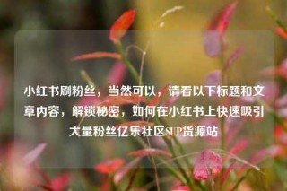 小红书刷粉丝,当然可以,请看以下标题和文章内容,解锁秘密,如何在小红书上快速吸引大量粉丝亿乐社区SUP货源站