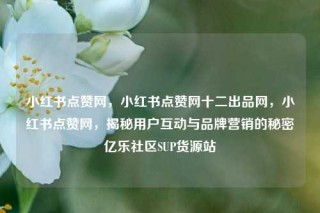 小红书点赞网,小红书点赞网十二出品网,小红书点赞网,揭秘用户互动与品牌营销的秘密亿乐社区SUP货源站