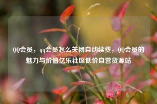 QQ会员,qq会员怎么关闭自动续费,QQ会员的魅力与价值亿乐社区低价自营货源站