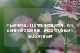 抖音刷播放量，抖音增加播放量的软件，如何在抖音上高效刷播放量，轻松吸引大量粉丝亿乐社区SUP货源站