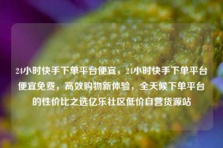 24小时快手下单平台便宜,24小时快手下单平台便宜免费,高效购物新体验,全天候下单平台的性价比之选亿乐社区低价自营货源站