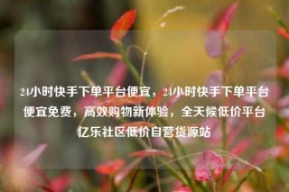 24小时快手下单平台便宜,24小时快手下单平台便宜免费,高效购物新体验,全天候低价平台亿乐社区低价自营货源站