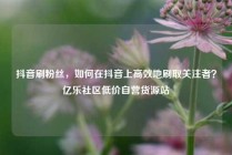 抖音刷粉丝，如何在抖音上高效地刷取关注者？亿乐社区低价自营货源站