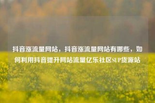 抖音涨流量网站,抖音涨流量网站有哪些,如何利用抖音提升网站流量亿乐社区SUP货源站