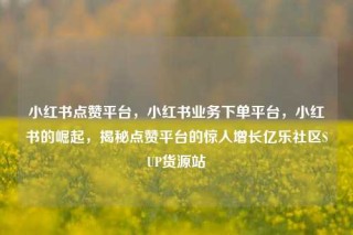 小红书点赞平台,小红书业务下单平台,小红书的崛起,揭秘点赞平台的惊人增长亿乐社区SUP货源站