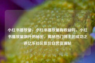 小红书播放量,小红书播放量有收益吗,小红书播放量飙升的秘密,揭秘热门博主的成功之道亿乐社区低价自营货源站