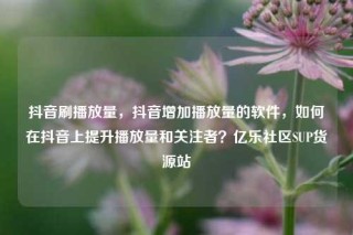 抖音刷播放量，抖音增加播放量的软件，如何在抖音上提升播放量和关注者？亿乐社区SUP货源站
