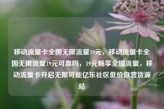 移动流量卡全国无限流量19元,移动流量卡全国无限流量19元可靠吗,19元畅享全国流量,移动流量卡开启无限可能亿乐社区低价自营货源站