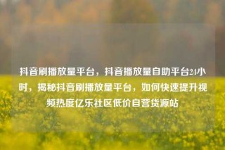 抖音刷播放量平台,抖音播放量自助平台24小时,揭秘抖音刷播放量平台,如何快速提升视频热度亿乐社区低价自营货源站
