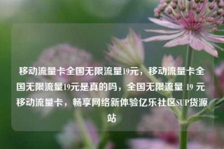移动流量卡全国无限流量19元,移动流量卡全国无限流量19元是真的吗,全国无限流量 19 元 移动流量卡,畅享网络新体验亿乐社区SUP货源站