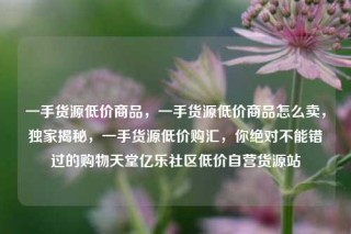 一手货源低价商品,一手货源低价商品怎么卖,独家揭秘,一手货源低价购汇,你绝对不能错过的购物天堂亿乐社区低价自营货源站