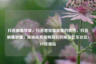 抖音刷播放量,抖音增加播放量的软件,抖音刷播放量,揭秘高赞视频背后的秘密亿乐社区SUP货源站