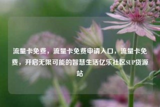 流量卡免费,流量卡免费申请入口,流量卡免费,开启无限可能的智慧生活亿乐社区SUP货源站