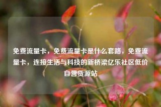 免费流量卡,免费流量卡是什么套路,免费流量卡,连接生活与科技的新桥梁亿乐社区低价自营货源站