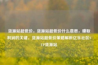 货源站超低价,货源站超低价什么意思,赚取利润的关键,货源站超低价策略解析亿乐社区SUP货源站