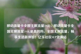 移动流量卡全国无限流量19元,移动流量卡全国无限流量19元是真的吗,全国无限流量,畅享生活新体验!亿乐社区SUP货源站