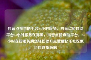 抖音点赞自助平台24小时服务,抖音点赞自助平台24小时服务在哪里,抖音点赞自助平台,24小时在线服务助您轻松提升点赞量亿乐社区低价自营货源站