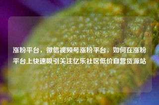 涨粉平台,微信视频号涨粉平台,如何在涨粉平台上快速吸引关注亿乐社区低价自营货源站