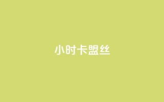 24小时卡盟丝 - 傲世卡盟