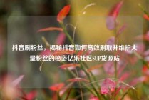 抖音刷粉丝,揭秘抖音如何高效刷取并维护大量粉丝的秘密亿乐社区SUP货源站