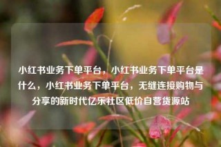 小红书业务下单平台，小红书业务下单平台是什么，小红书业务下单平台，无缝连接购物与分享的新时代亿乐社区低价自营货源站