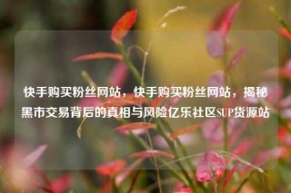 快手购买粉丝网站,快手购买粉丝网站,揭秘黑市交易背后的真相与风险亿乐社区SUP货源站