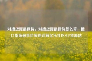 对接货源最低价，对接货源最低价怎么算，接口货源最低价策略详解亿乐社区SUP货源站