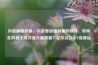 抖音刷播放量,抖音增加播放量的软件,如何在抖音上有效提升播放量?亿乐社区SUP货源站