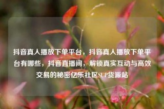 抖音真人播放下单平台,抖音真人播放下单平台有哪些,抖音直播间,解锁真实互动与高效交易的秘密亿乐社区SUP货源站