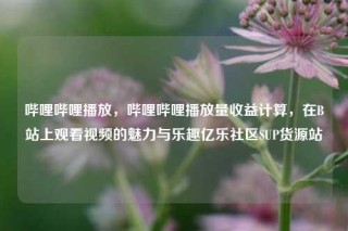 哔哩哔哩播放,哔哩哔哩播放量收益计算,在B站上观看视频的魅力与乐趣亿乐社区SUP货源站