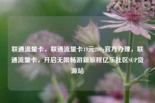 联通流量卡,联通流量卡19元200g官方办理,联通流量卡,开启无限畅游新旅程亿乐社区SUP货源站