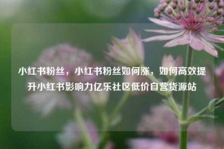 小红书粉丝,小红书粉丝如何涨,如何高效提升小红书影响力亿乐社区低价自营货源站