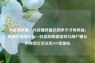 抖音播放量,抖音播放量达到多少才有收益,揭秘短视频平台—抖音的吸睛密码与用户增长的秘密亿乐社区SUP货源站