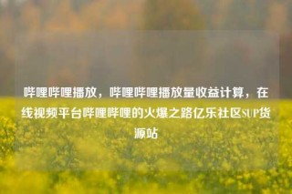 哔哩哔哩播放,哔哩哔哩播放量收益计算,在线视频平台哔哩哔哩的火爆之路亿乐社区SUP货源站