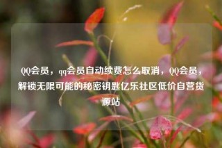 QQ会员,qq会员自动续费怎么取消,QQ会员,解锁无限可能的秘密钥匙亿乐社区低价自营货源站