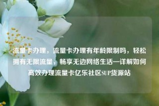 流量卡办理,流量卡办理有年龄限制吗,轻松拥有无限流量,畅享无边网络生活—详解如何高效办理流量卡亿乐社区SUP货源站