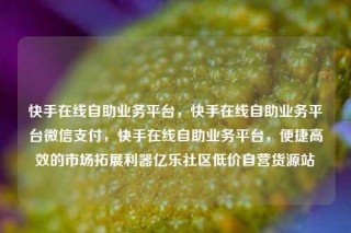 快手在线自助业务平台,快手在线自助业务平台微信支付,快手在线自助业务平台,便捷高效的市场拓展利器亿乐社区低价自营货源站